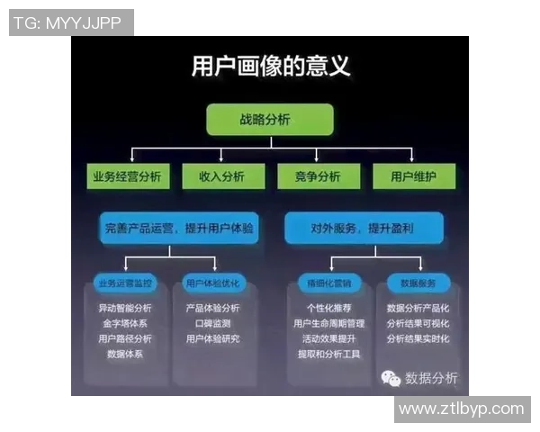 独家解析TES团队协作优势与不足的全面对比分析 独家解析TES团队协作优势与不足的全面对比分析