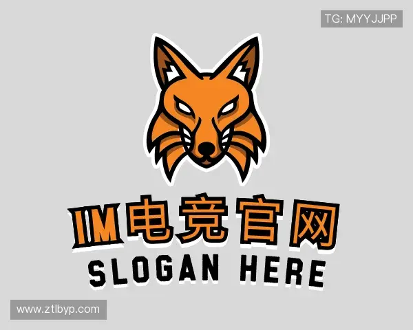 认识IM电竞